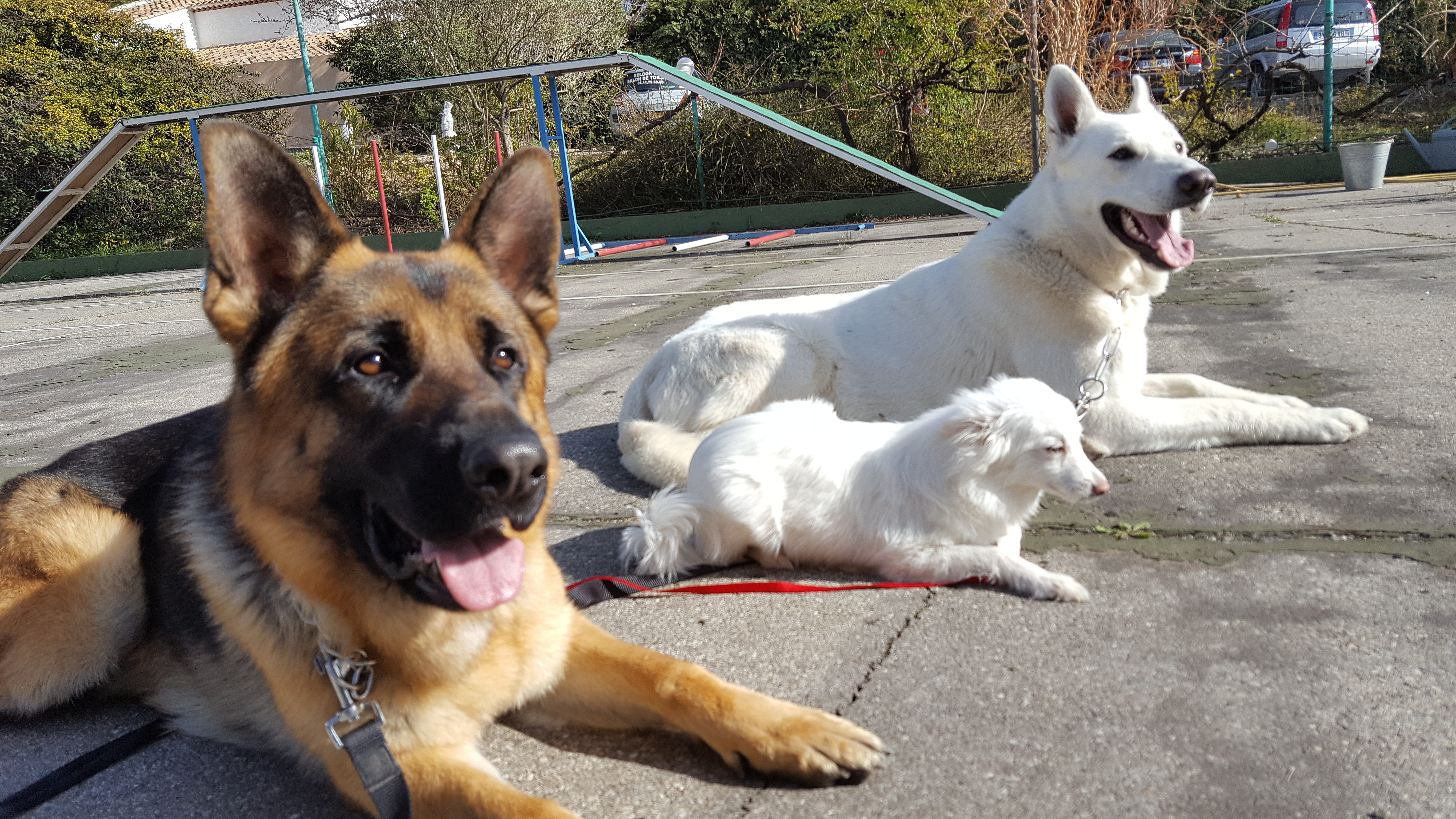 Séance d'entraînement